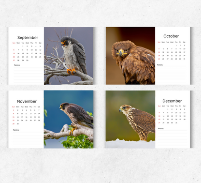 Falcon Desk Calendar 2026-2027