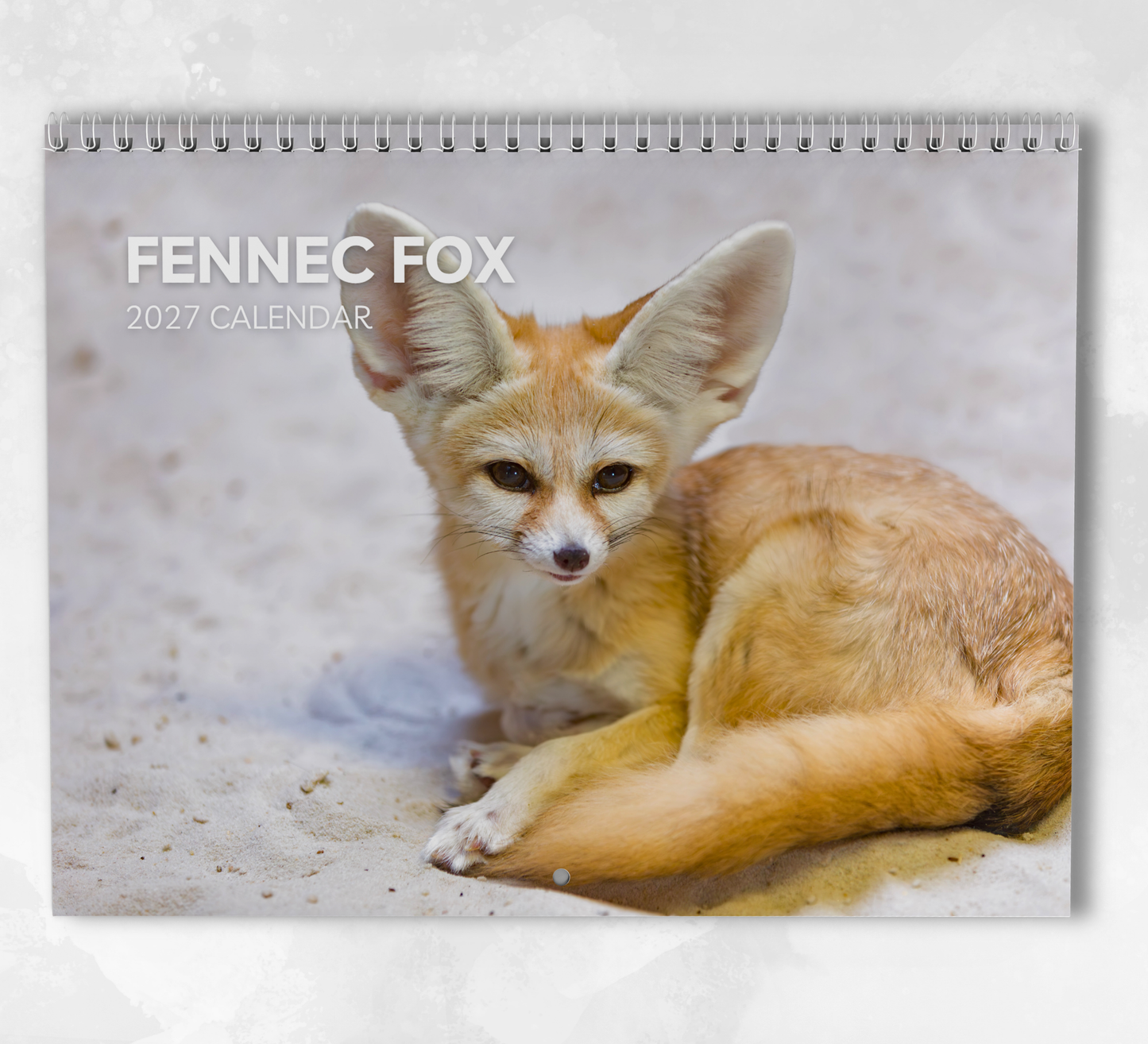 Fennec Foxes Calendar 2027