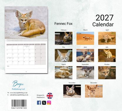 Fennec Foxes Calendar 2027