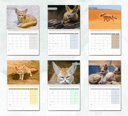 Fennec Foxes Calendar 2027