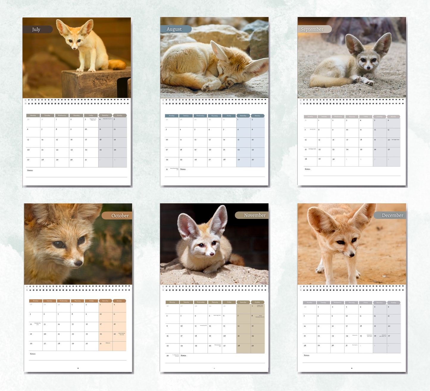 Fennec Foxes Calendar 2027