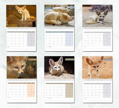 Fennec Foxes Calendar 2027