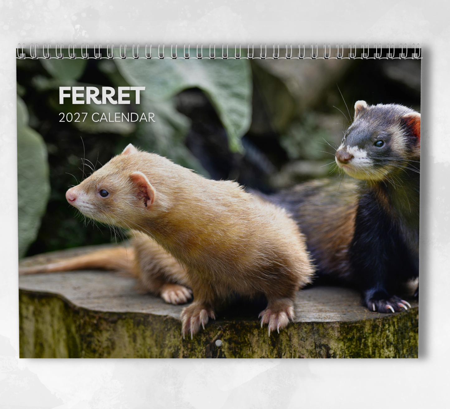 Ferret Calendar 2027