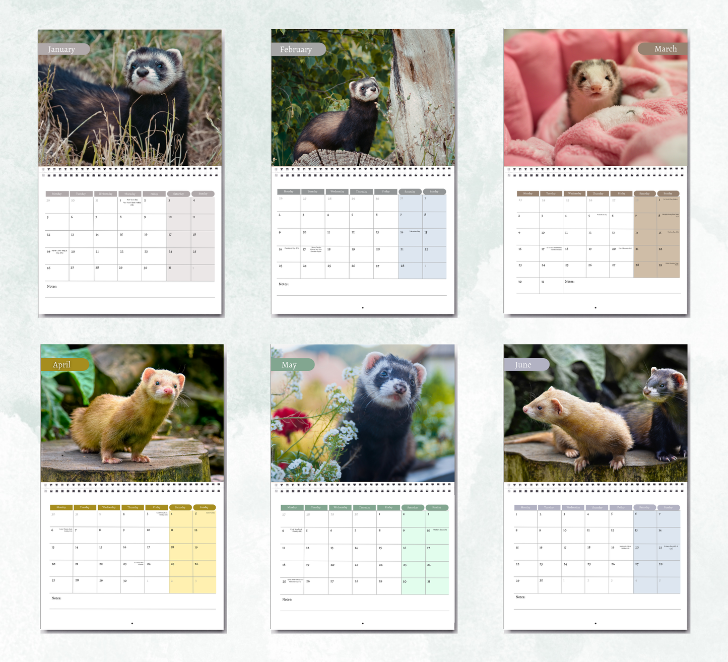Ferret Calendar 2027