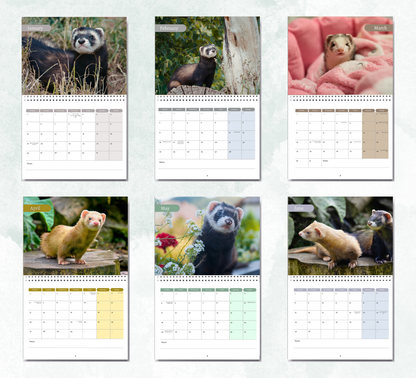 Ferret Calendar 2027