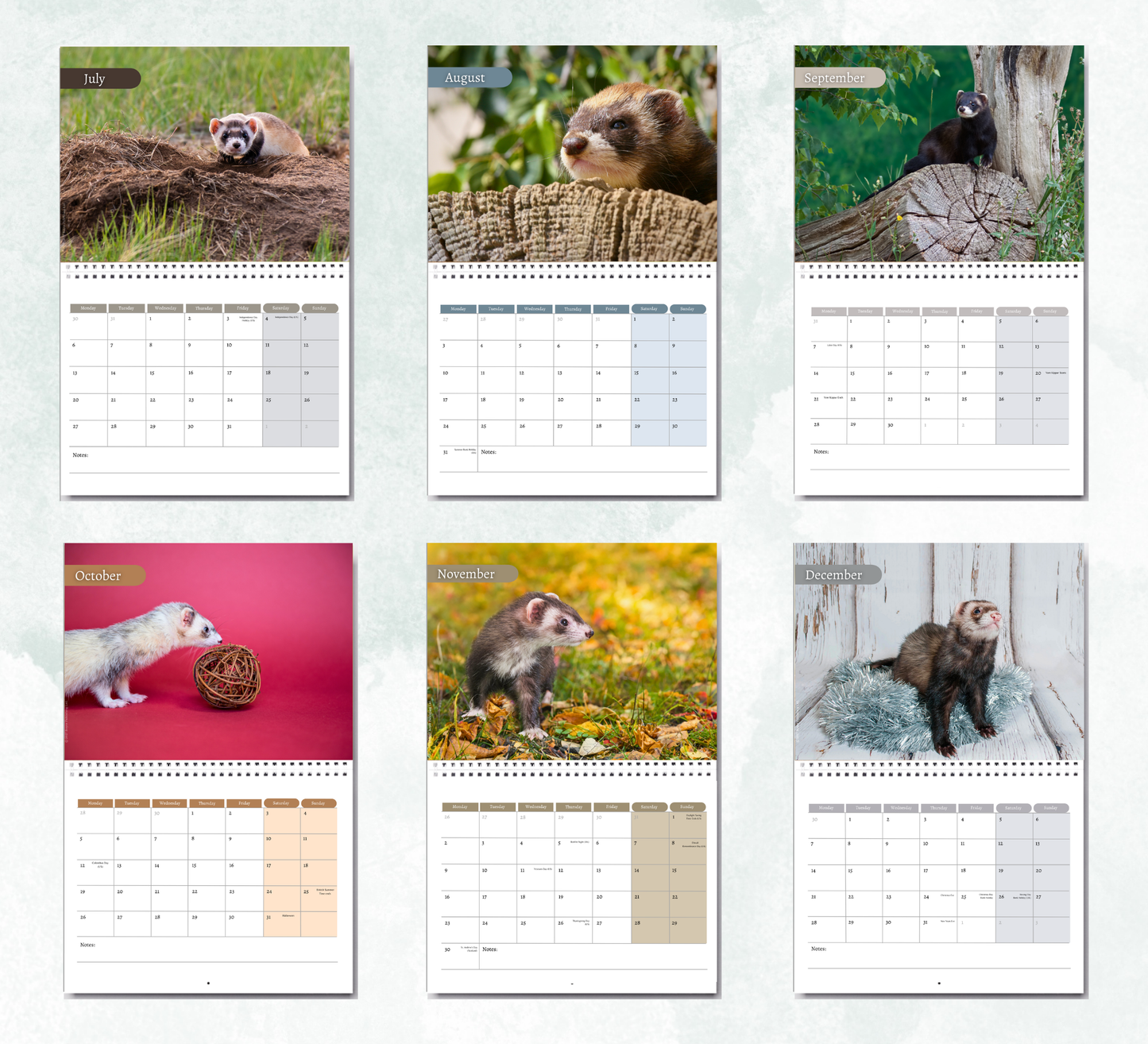 Ferret Calendar 2027