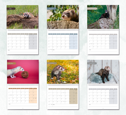 Ferret Calendar 2027
