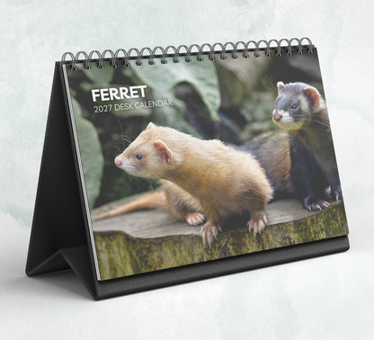 Ferret Desk Calendar 2027-2028