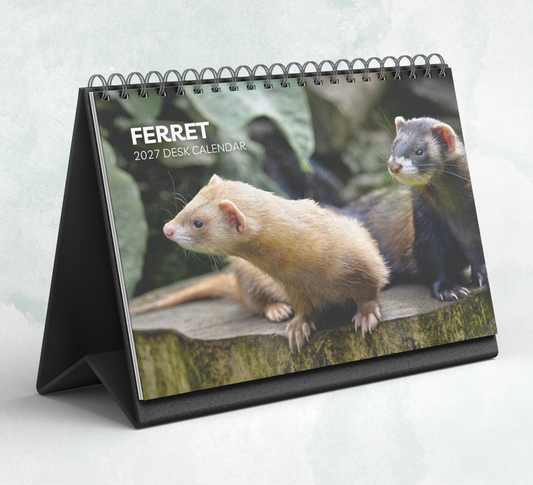 Ferret Desk Calendar 2027-2028