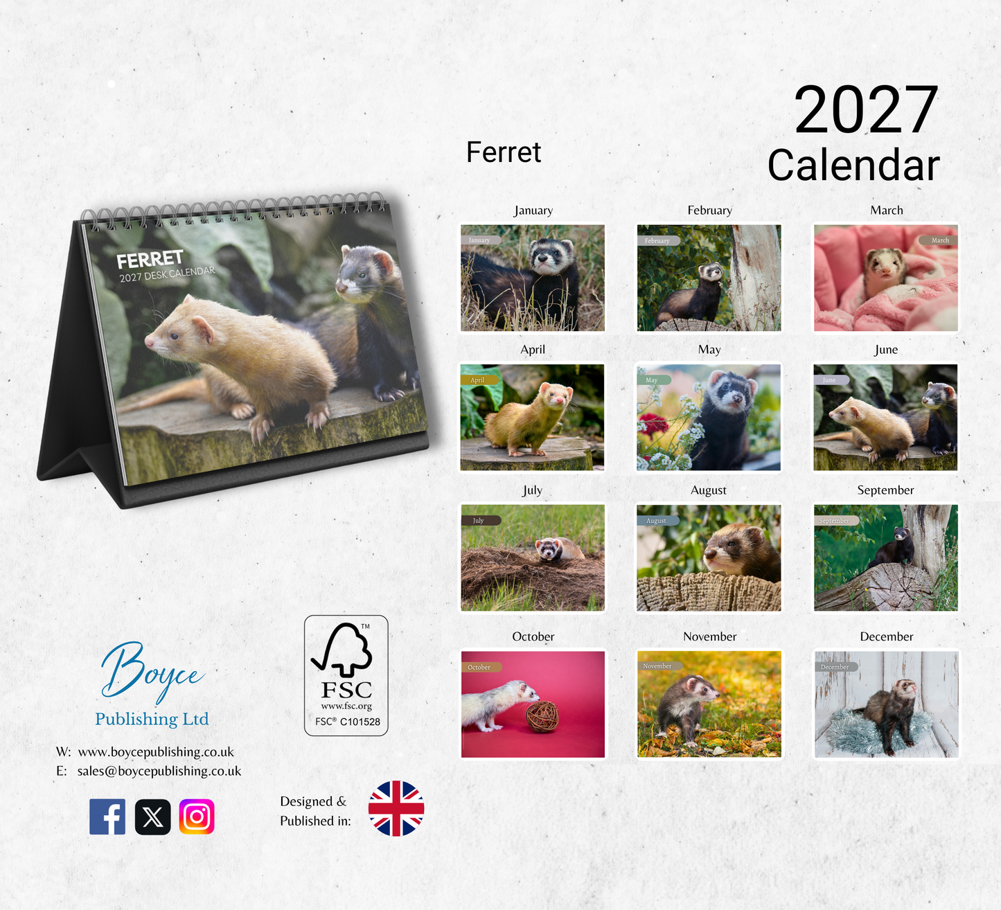 Ferret Desk Calendar 2027-2028