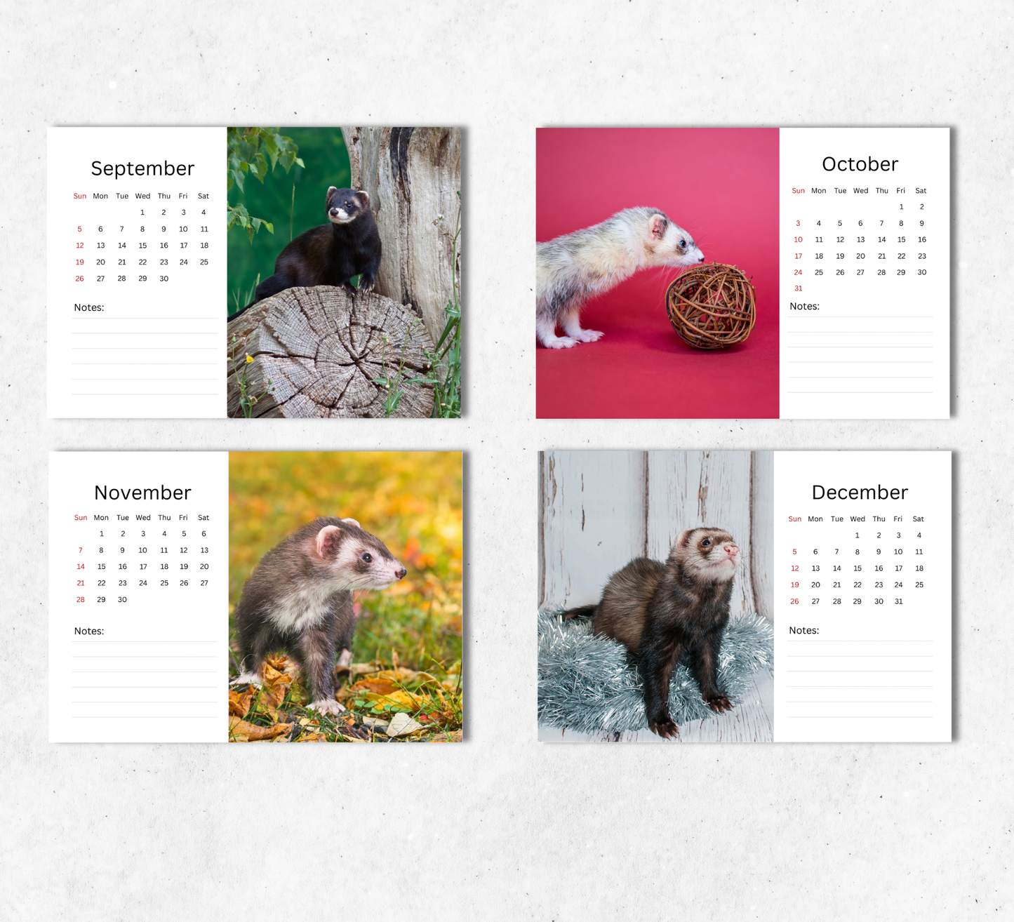 Ferret Desk Calendar 2027-2028