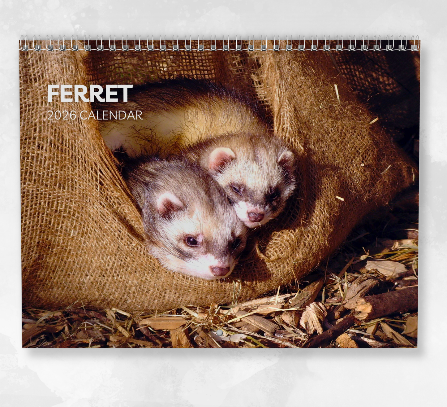 Ferret Calendar 2026