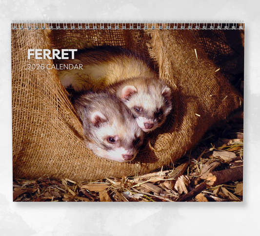 Ferret Calendar 2026