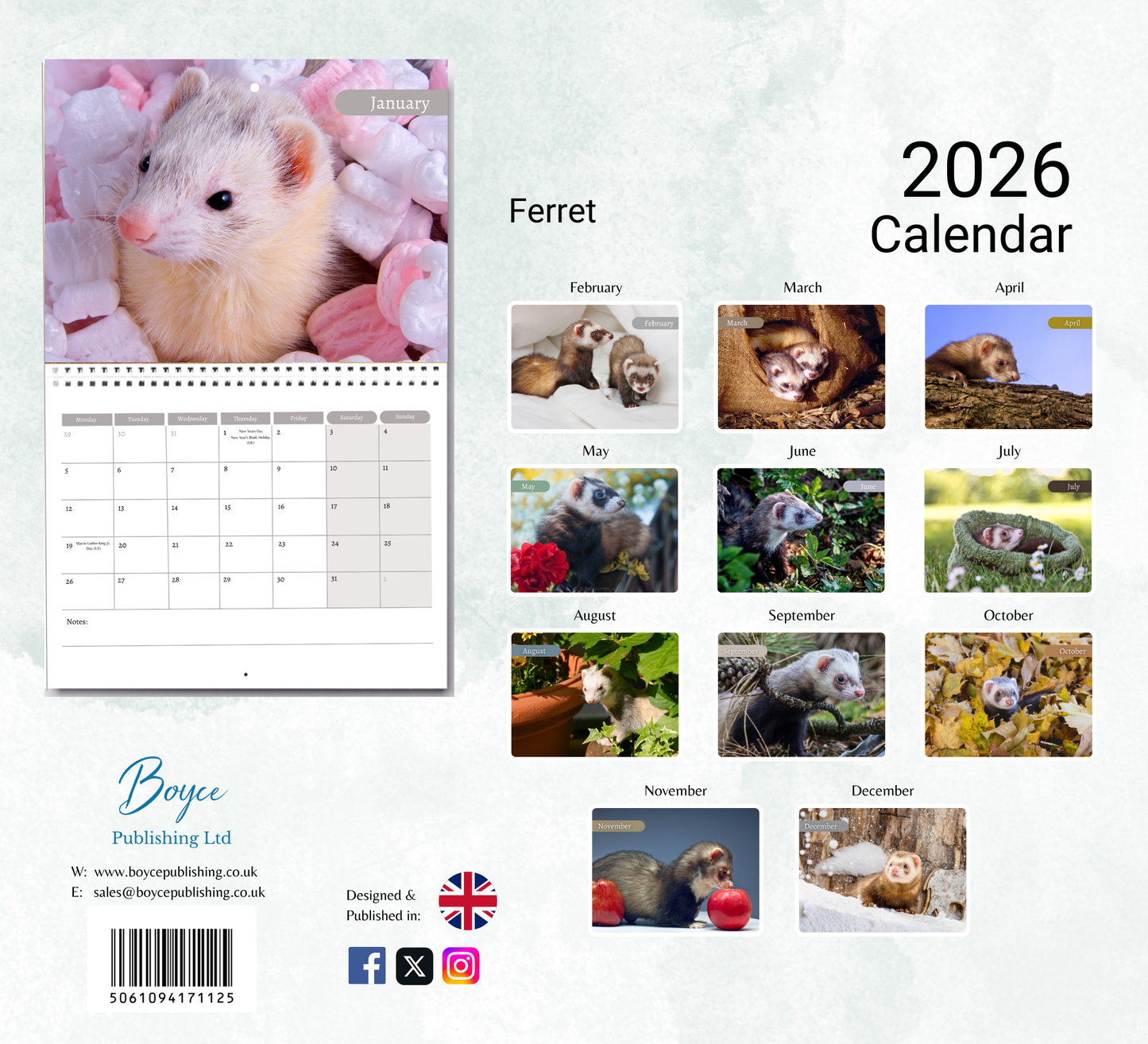 Ferret Calendar 2026
