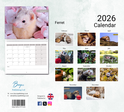 Ferret Calendar 2026