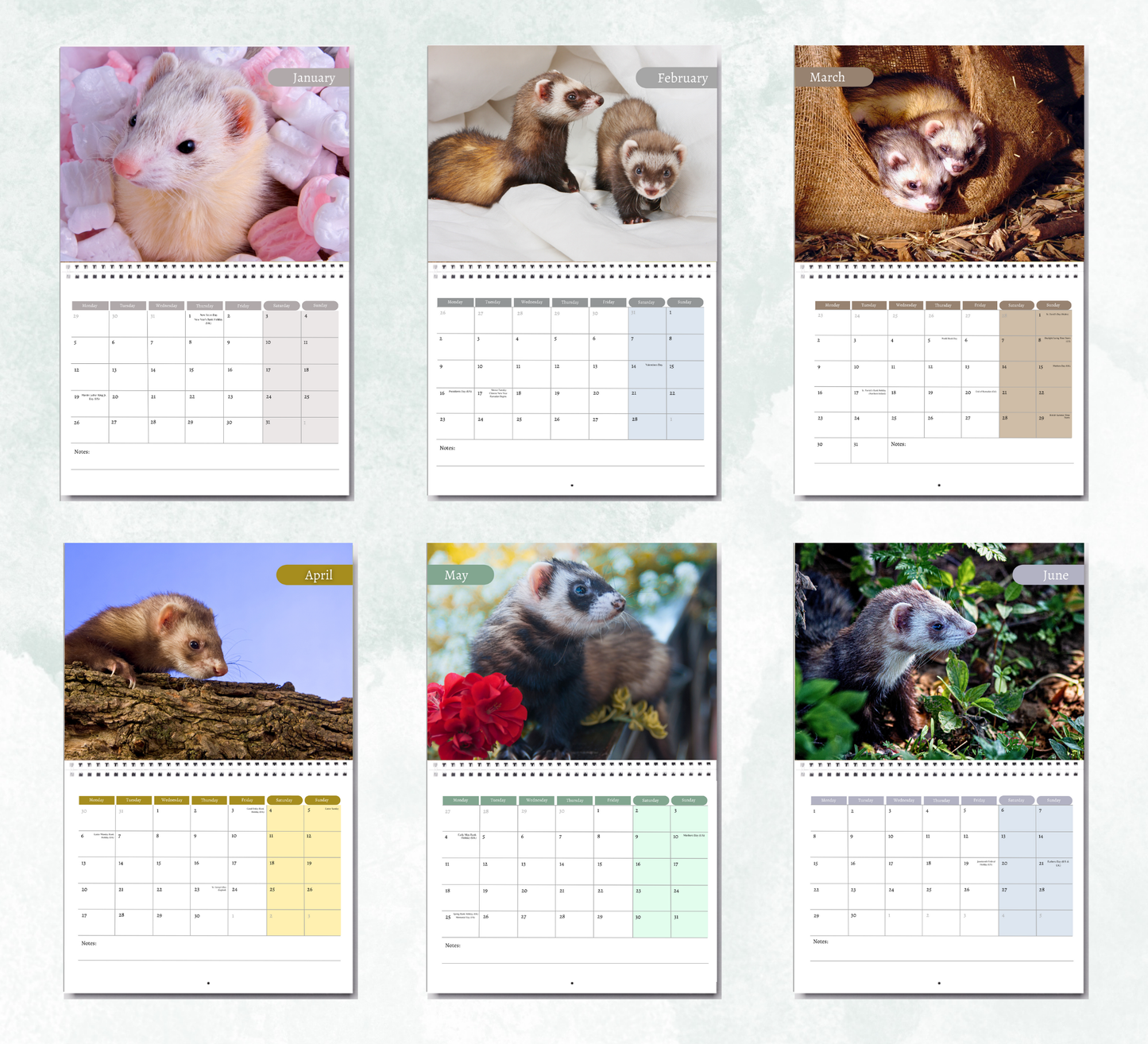 Ferret Calendar 2026