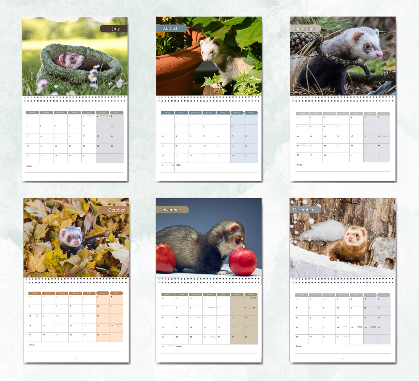 Ferret Calendar 2026