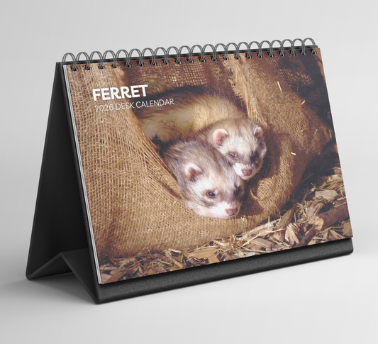 Ferret Desk Calendar 2026-2027