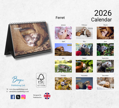 Ferret Desk Calendar 2026-2027
