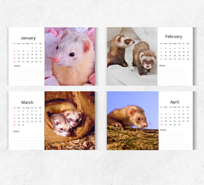 Ferret Desk Calendar 2026-2027