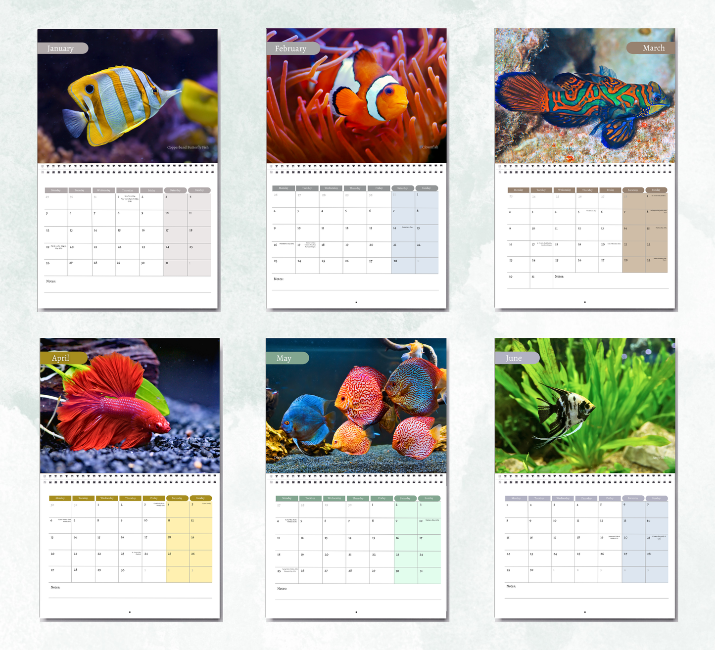 Fish Calendar 2027
