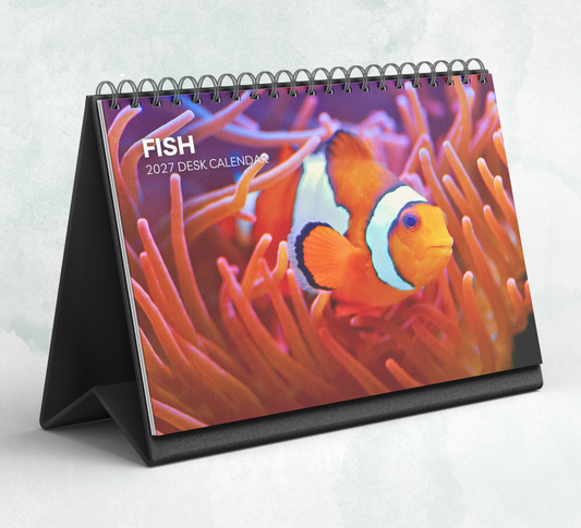 Fish Desk Calendar 2027-2028