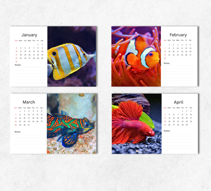 Fish Desk Calendar 2027-2028
