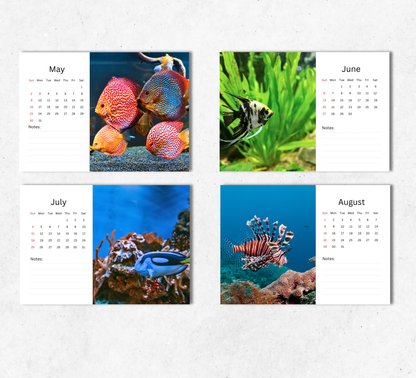 Fish Desk Calendar 2027-2028