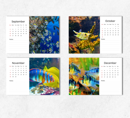 Fish Desk Calendar 2027-2028