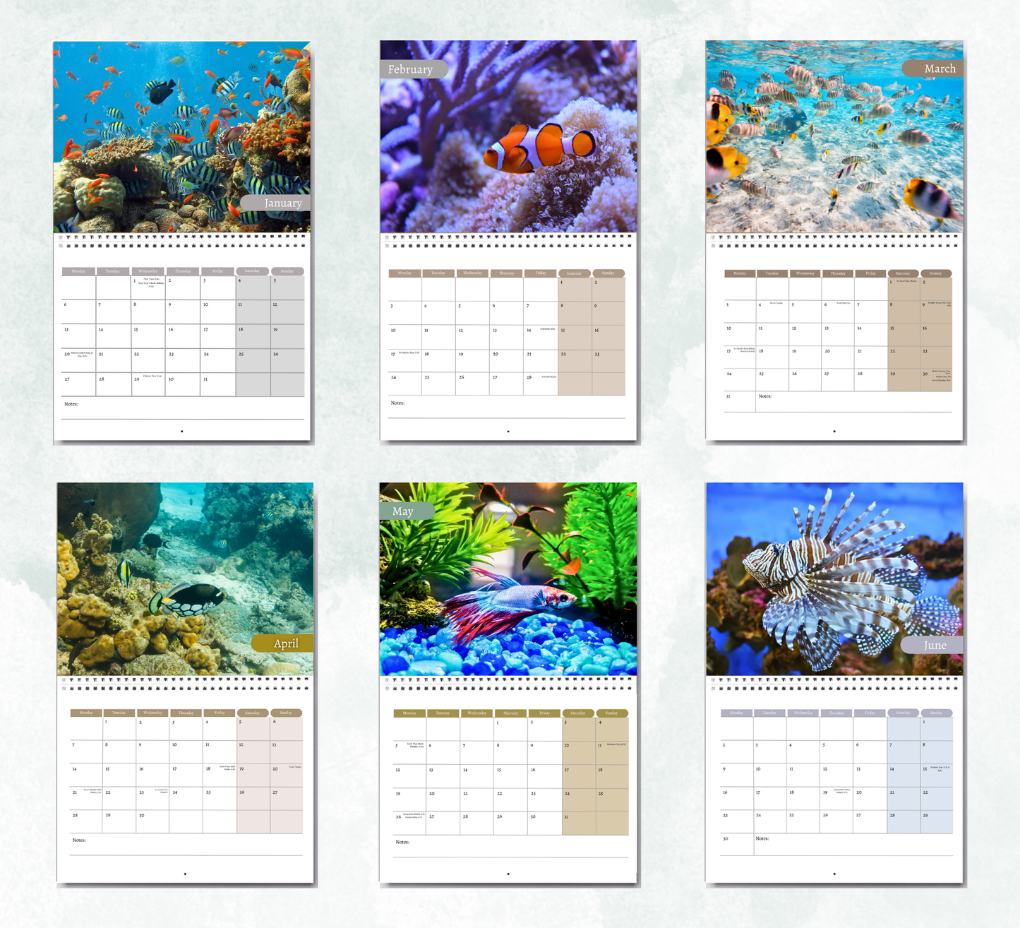 Fish Calendar 2026