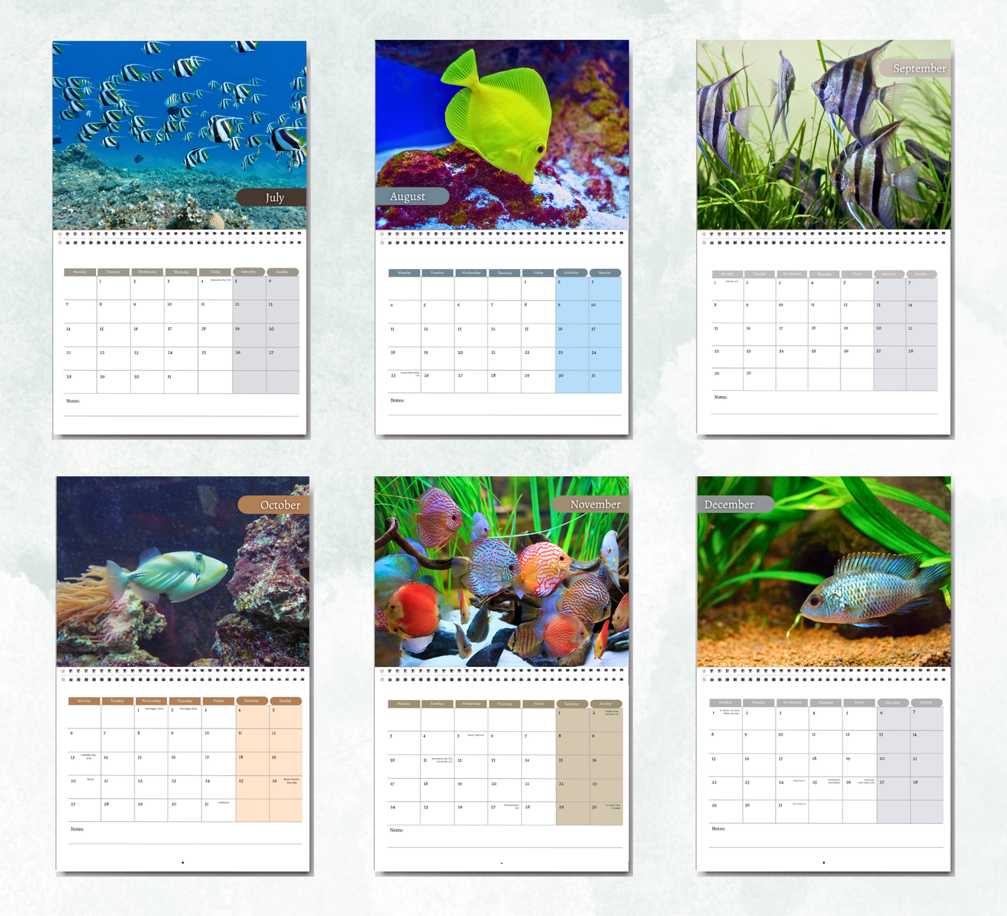 Fish Calendar 2026