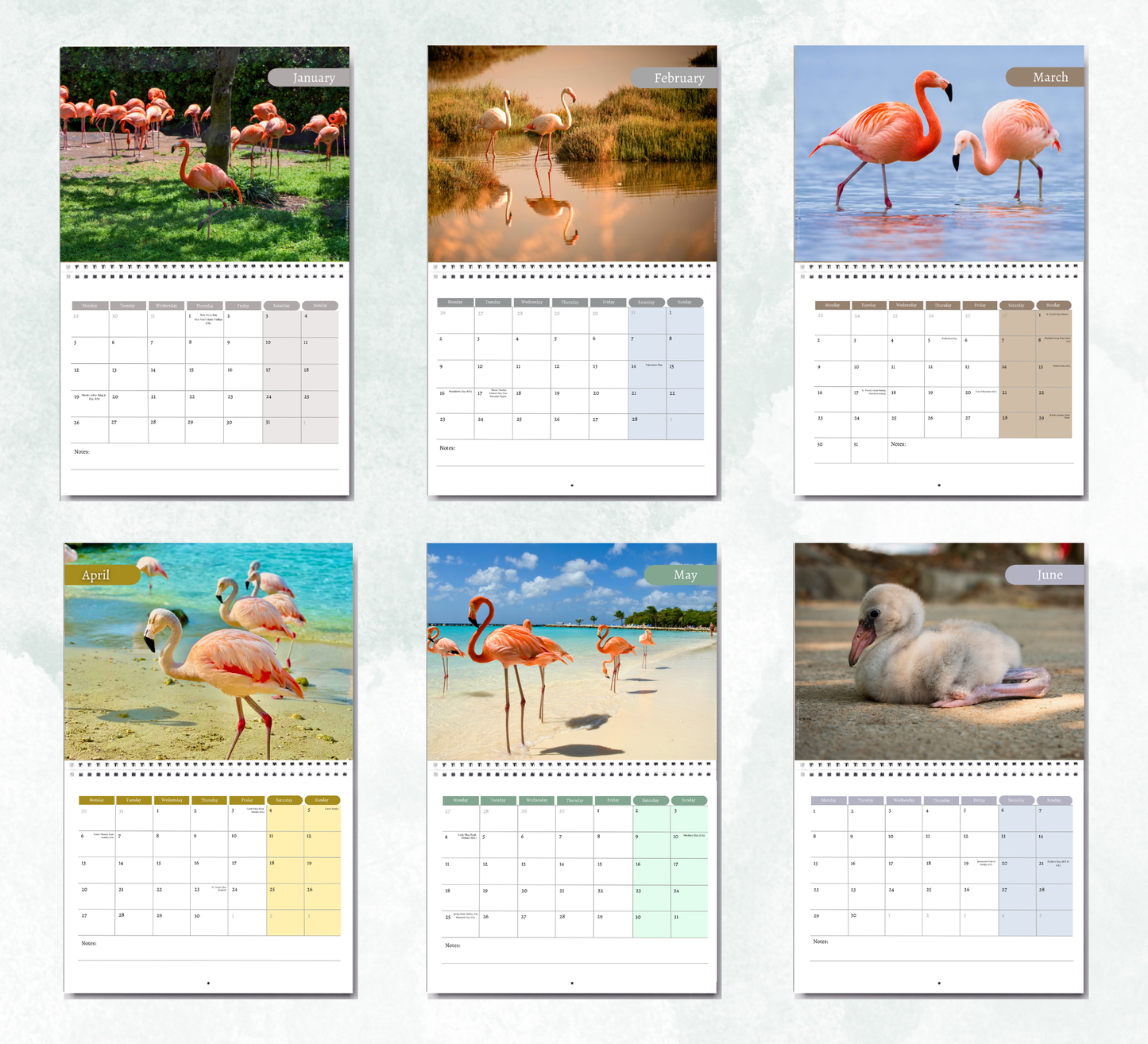Flamingo Calendar 2027