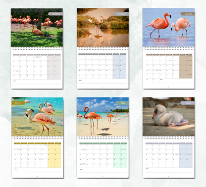 Flamingo Calendar 2027