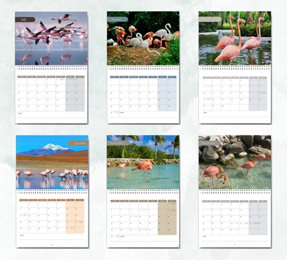 Flamingo Calendar 2027