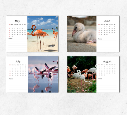 Flamingo Desk Calendar 2027-2028
