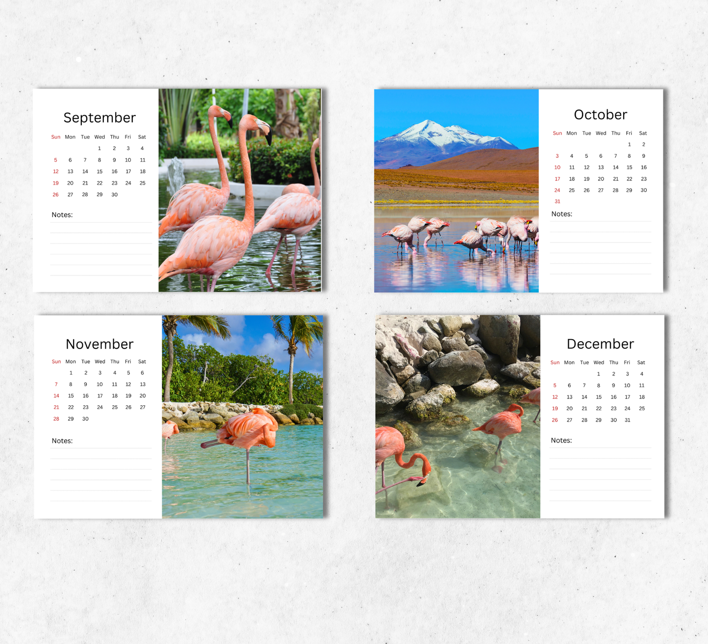 Flamingo Desk Calendar 2027-2028