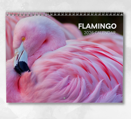 Flamingo Calendar 2026