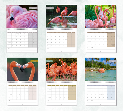 Flamingo Calendar 2026