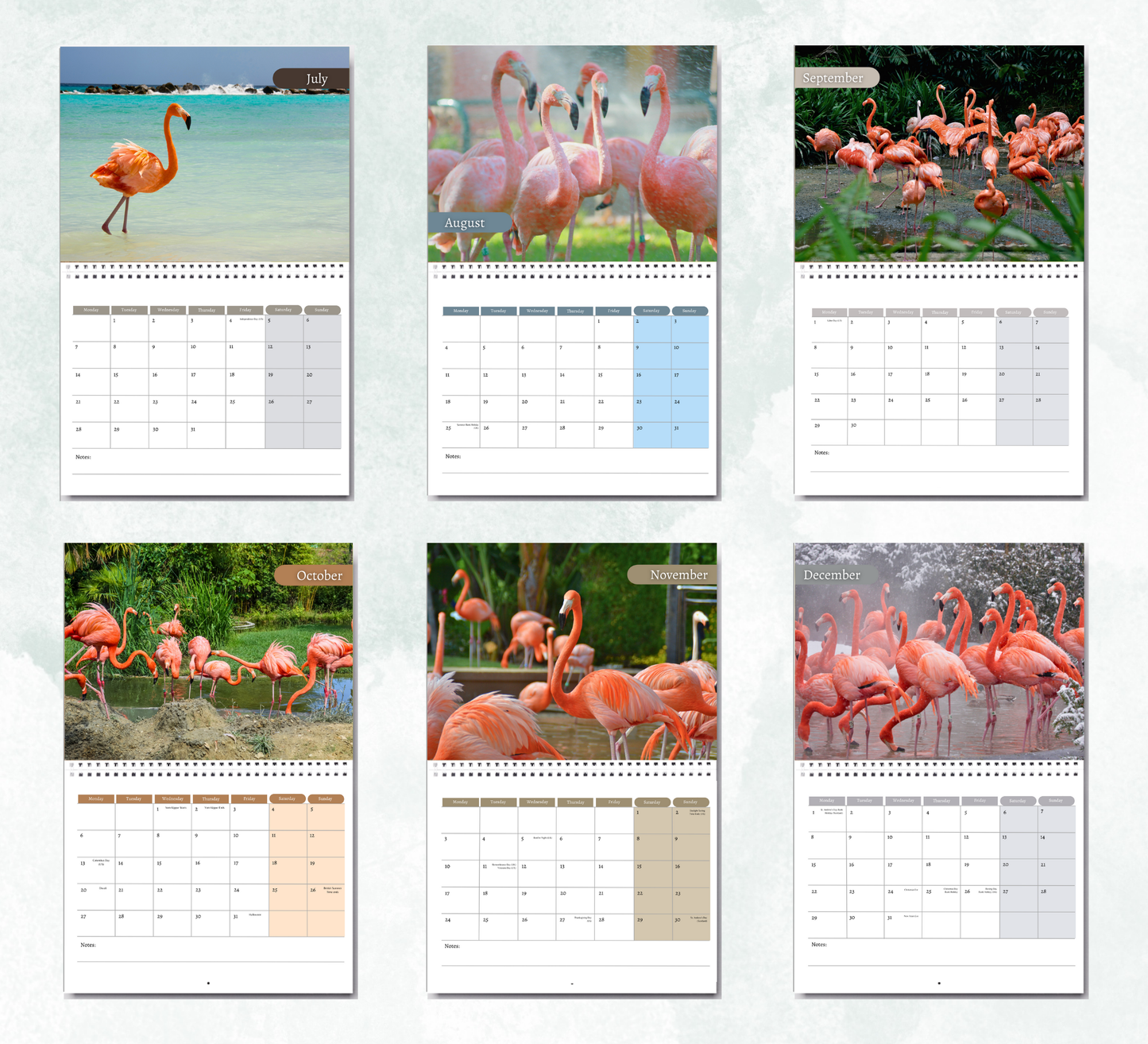 Flamingo Calendar 2026