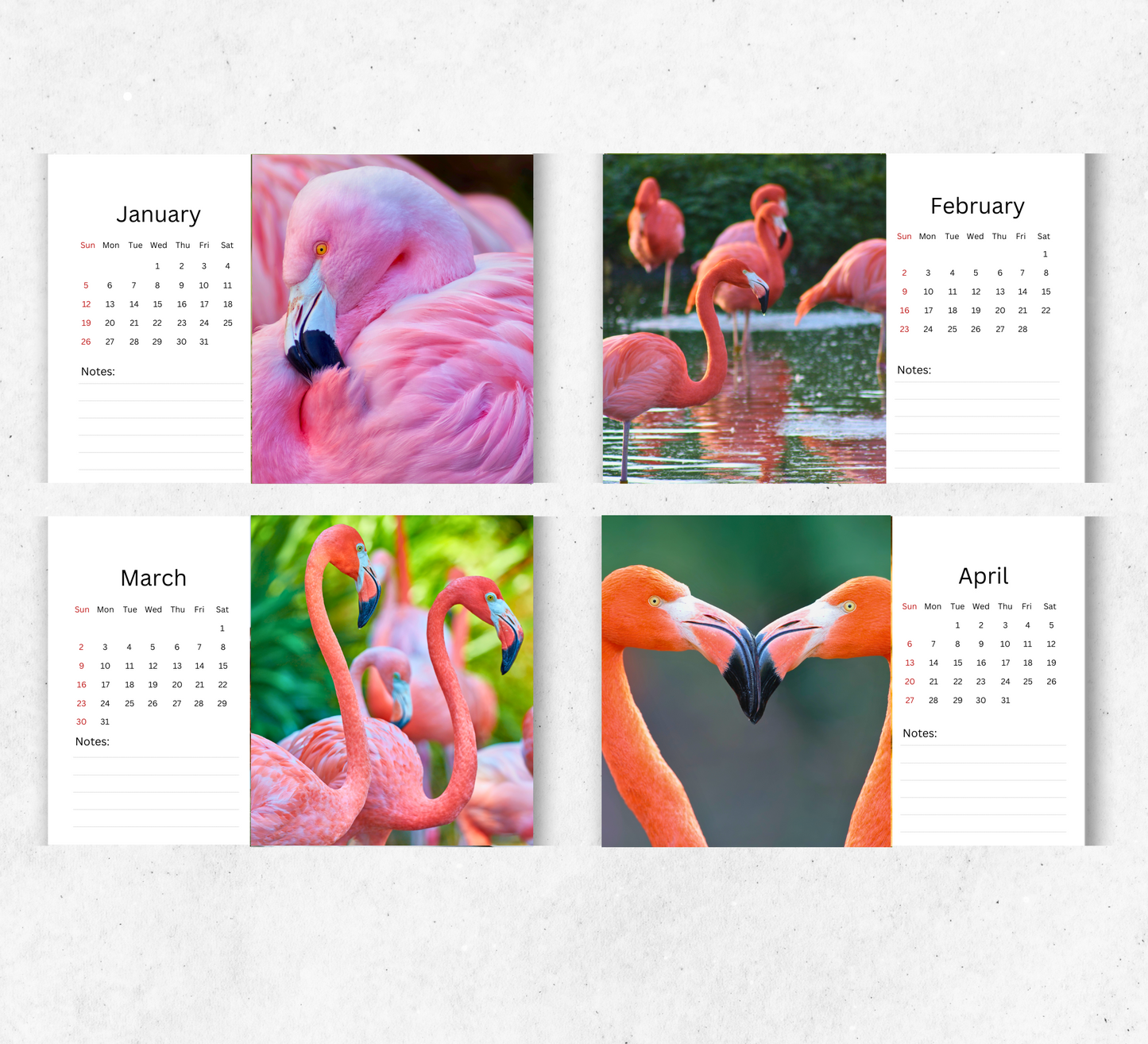 Flamingo Desk Calendar 2026-2027