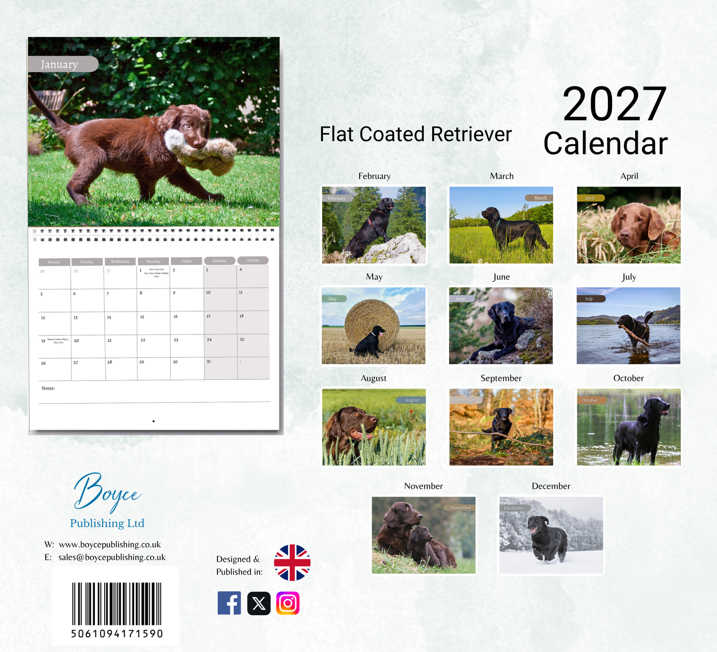 Flat Coated Retriever Calendar 2027