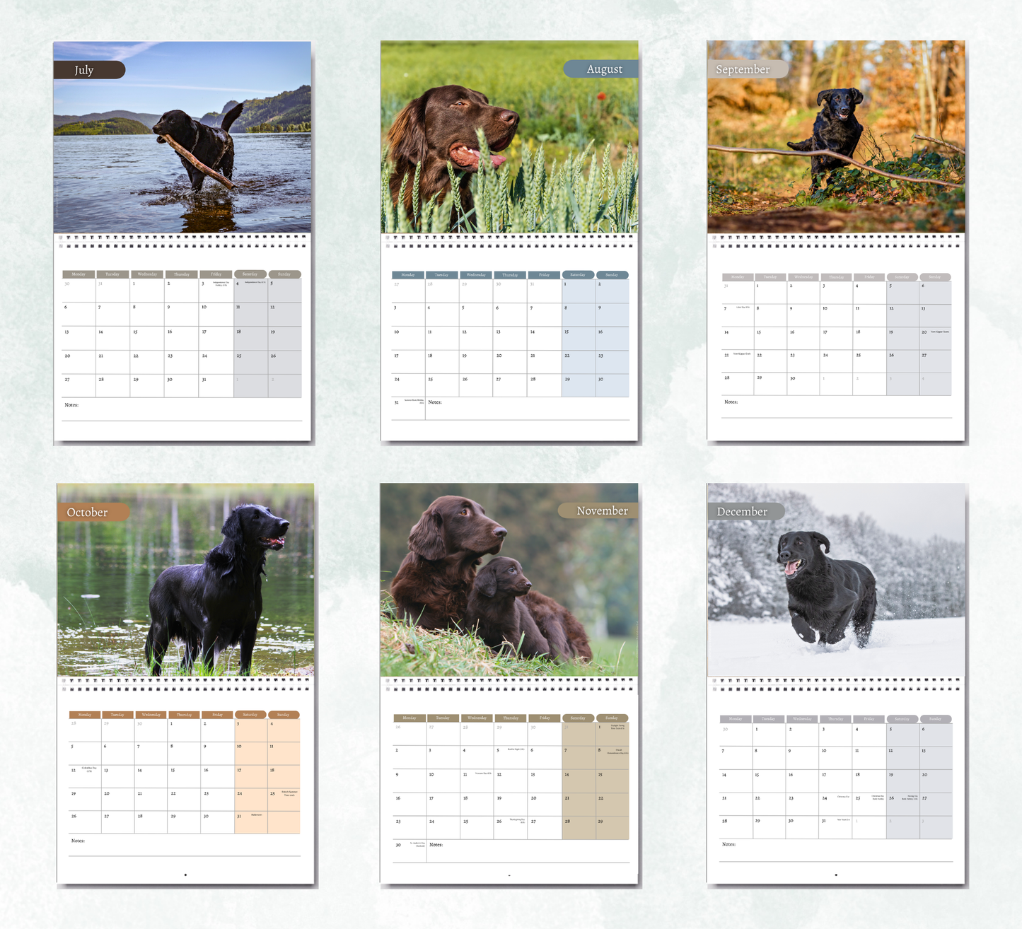 Flat Coated Retriever Calendar 2027