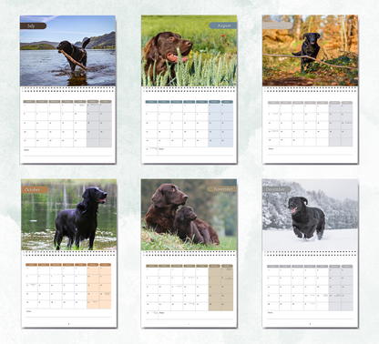 Flat Coated Retriever Calendar 2027