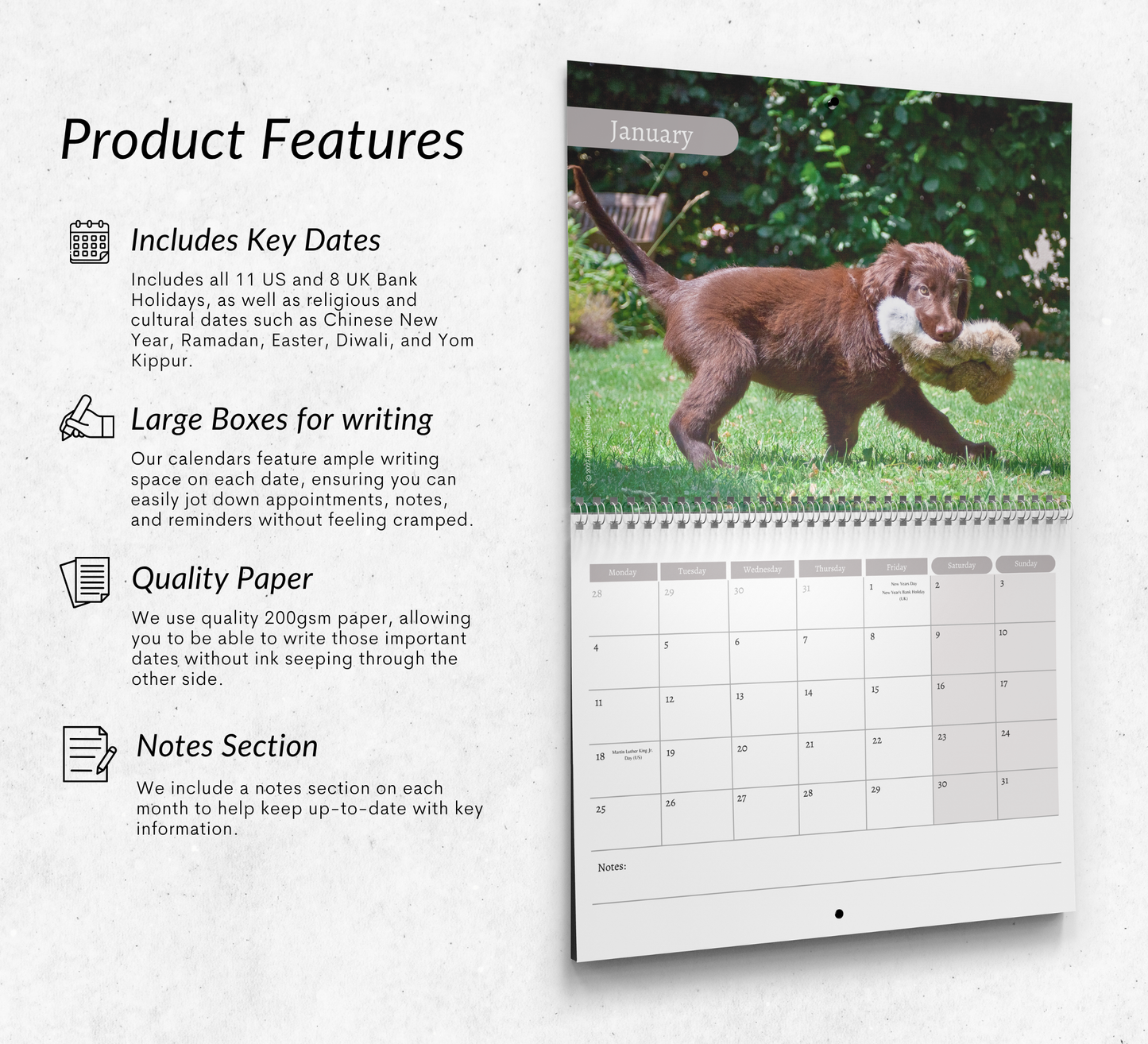 Flat Coated Retriever Calendar 2027
