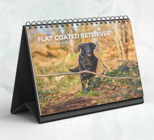 Flat Coated Retriever Desk Calendar 2027-2028
