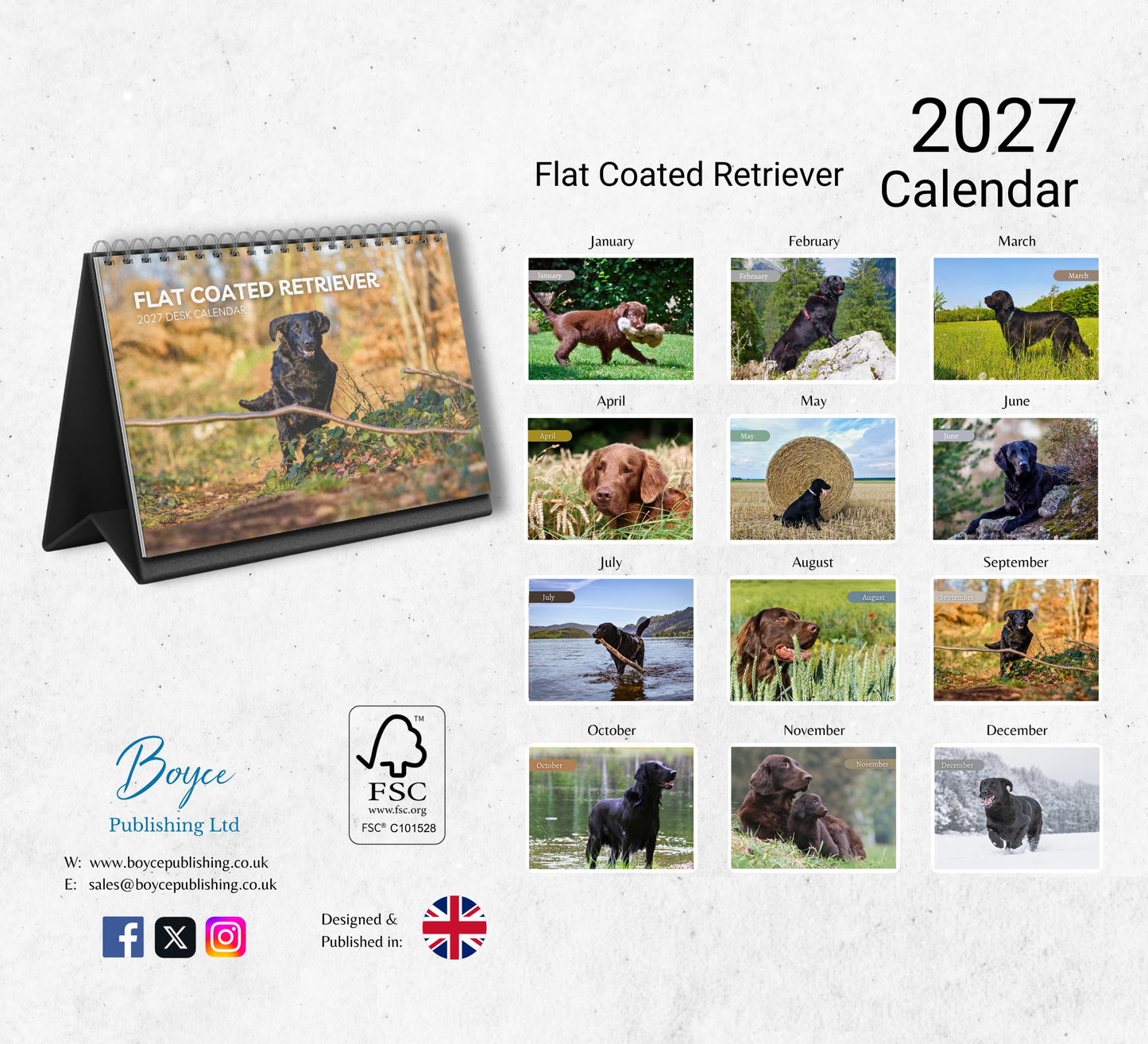 Flat Coated Retriever Desk Calendar 2027-2028