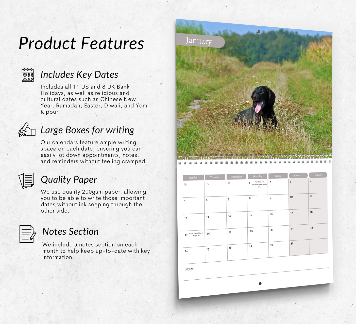Flat Coated Retriever Calendar 2026