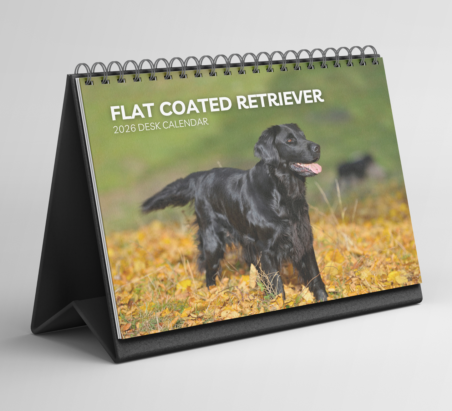 Flat Coated Retriever Desk Calendar 2026-2027