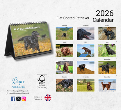 Flat Coated Retriever Desk Calendar 2026-2027