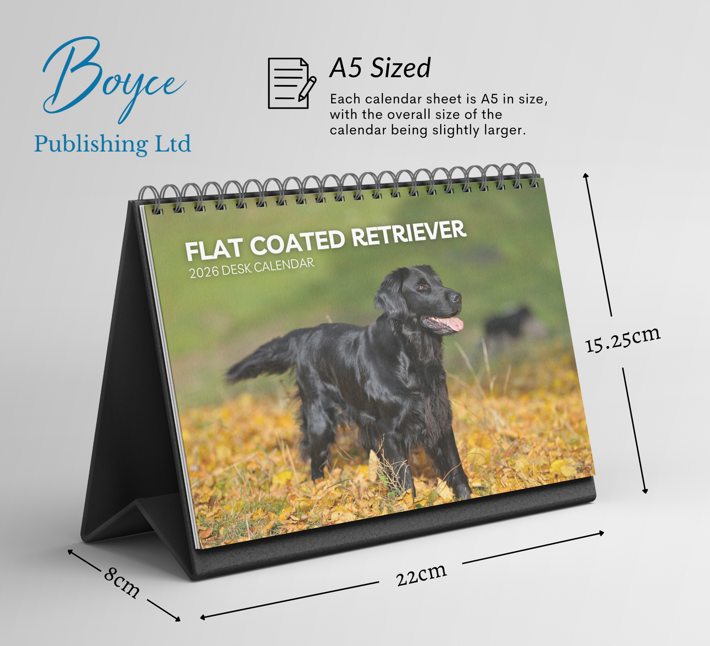 Flat Coated Retriever Desk Calendar 2026-2027